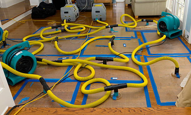 Professional Sewage Cleanup technician working in Doylestown, PA